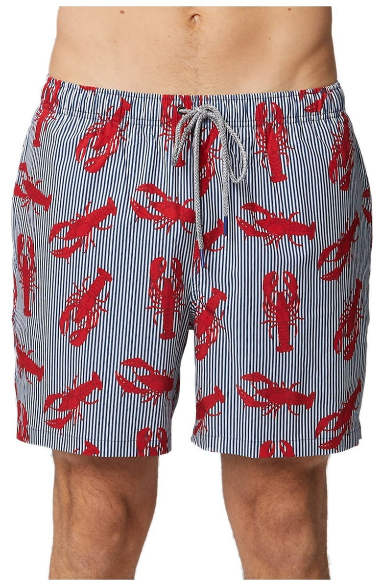 Rock Lobster Stretch Swim Trunks | Nordstrom Rack