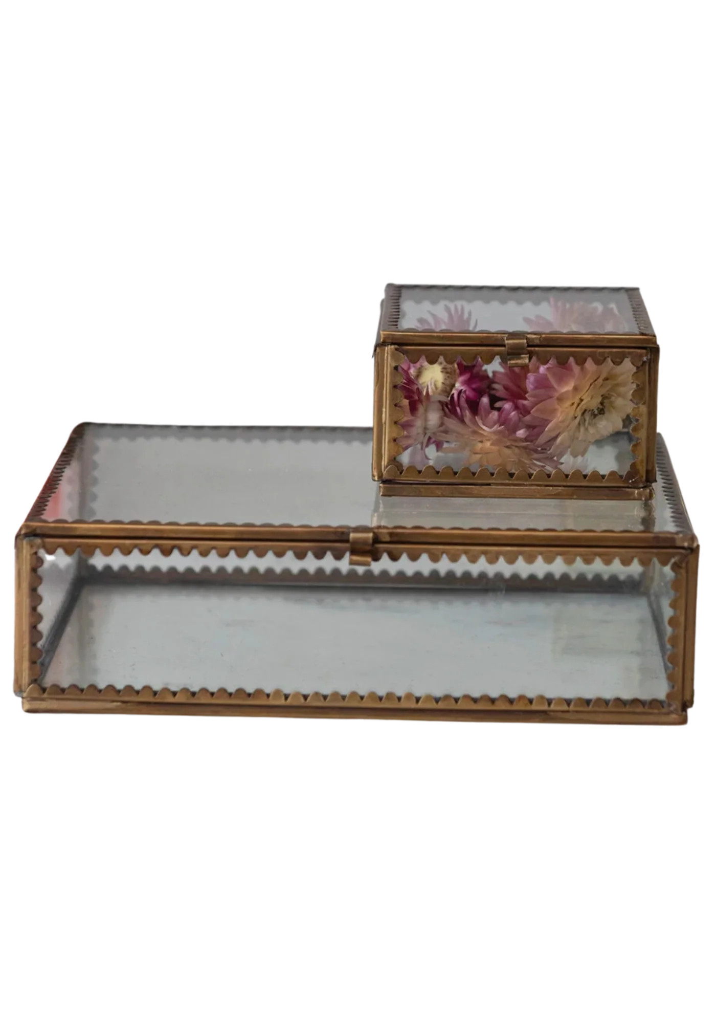 Scalloped Edge Display Box | Heritage House
