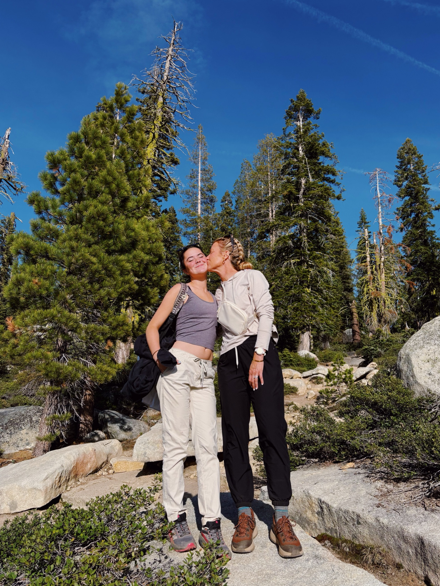 🌲🌲

#LTKActive