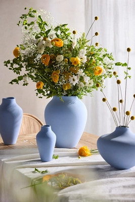 Organic Ceramic Vase | Anthropologie (US)