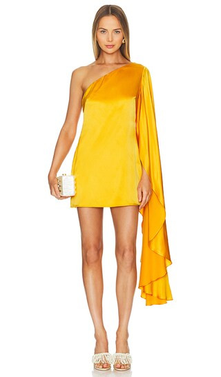 Enza Dress in Marmalade | Revolve Clothing (Global)