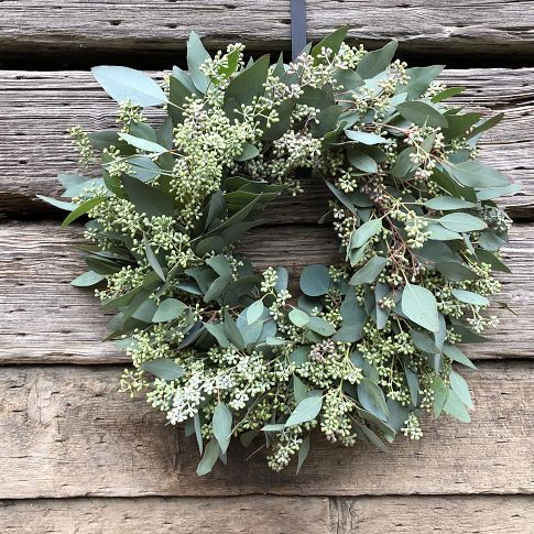 Seeded Eucalyptus Wreath & Garland | West Elm (US)