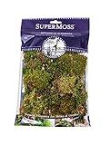 SuperMoss (21749) Sheet Moss Petite (Small Pieces) Dried, Fresh Green, 2oz | Amazon (US)