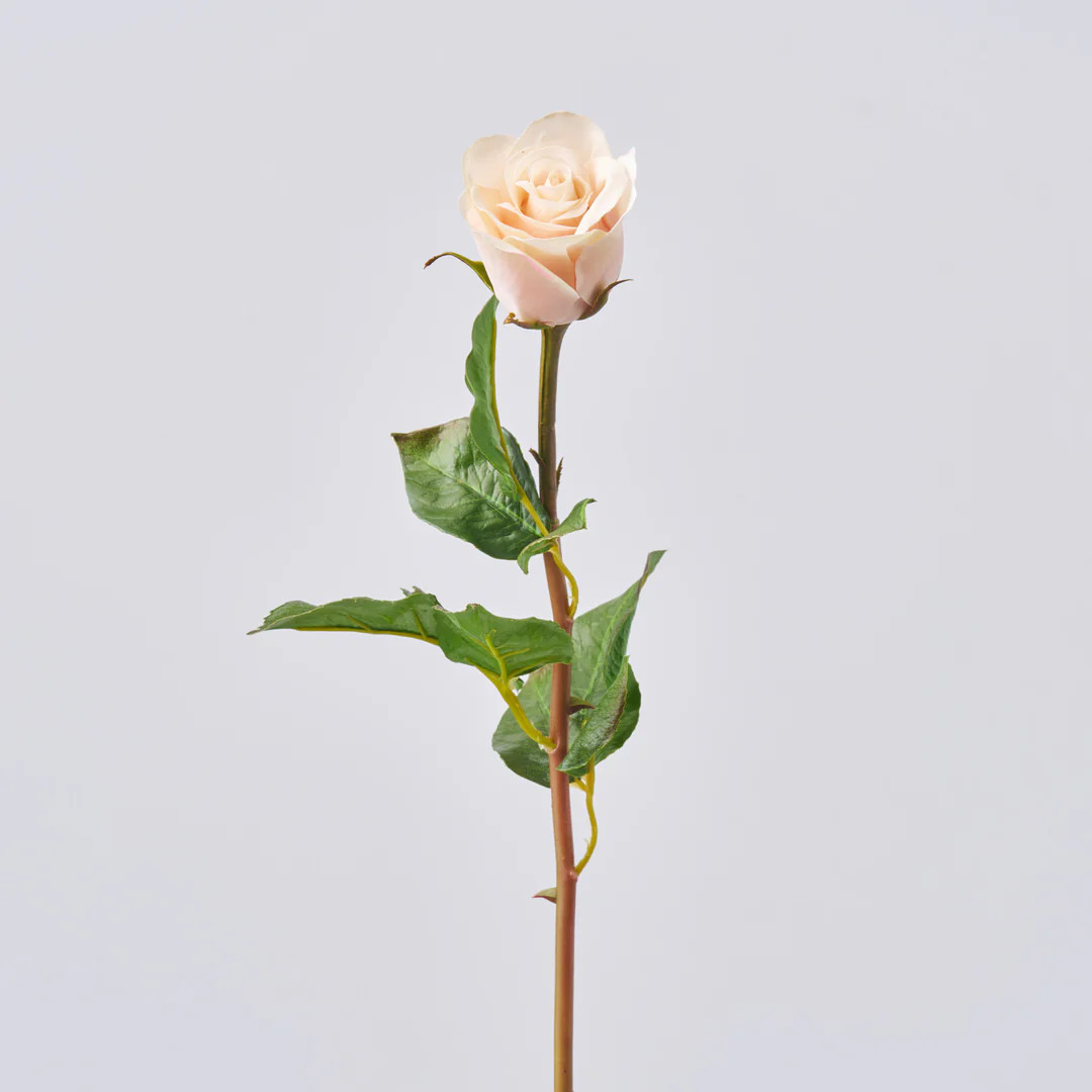 Real Touch Cream & Light Pink Dutchess Rose Small Bloom Single Faux Floral Stem Spray - 21" | Darby Creek Trading