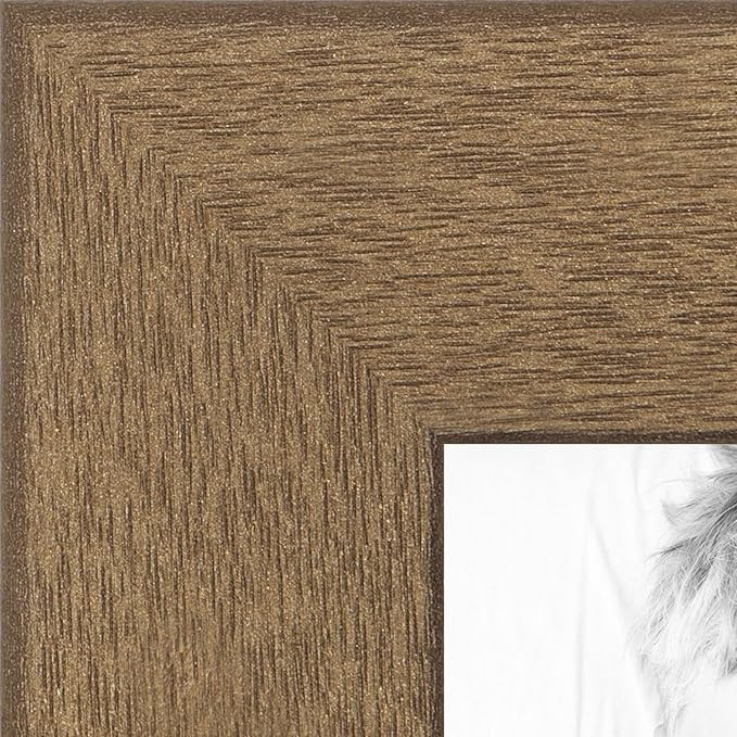 ArtToFrames 20x30 inch Gold Alloy Style Picture Frame, WOMBW26-445-20x30 | Amazon (US)