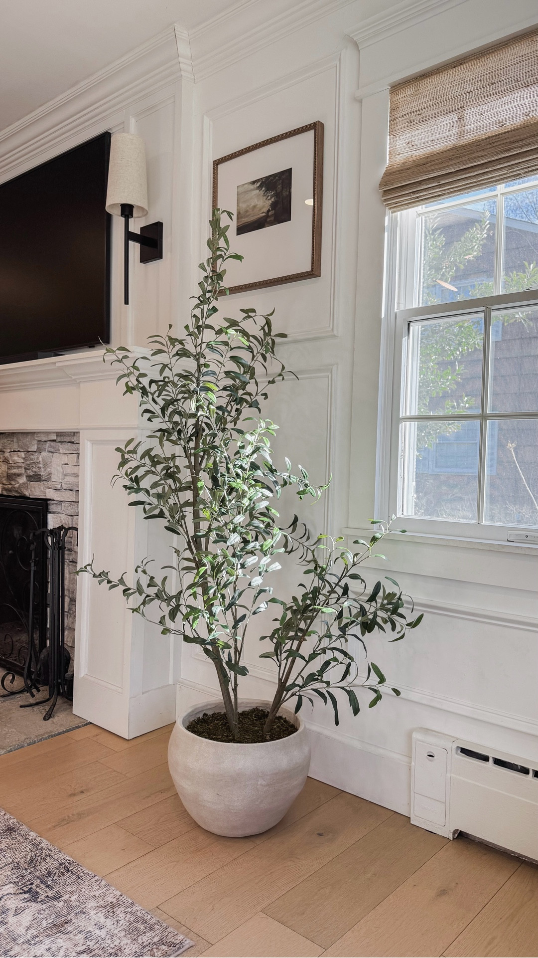 I’m obsessed with this potted faux olive tree! It’s so realistic and beautiful and it fits the organic modern style in my home. ✨

home decor | living room | interiors | affordable decor | greenery 

#LTKSaleAlert #LTKvlog #LTKHome