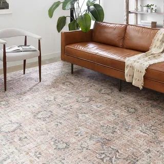 Alexander Home Leanne Traditional Distressed Printed Area Rug - 7'6" x 9'6" - Blush / Grey | Bed Bath & Beyond