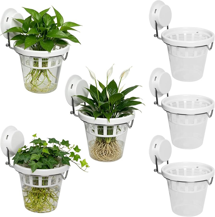 6 Pcs Window Propagation Stations Plastic Wall Hanging Planter with Suction Cup Holder Window Mou... | Amazon (US)