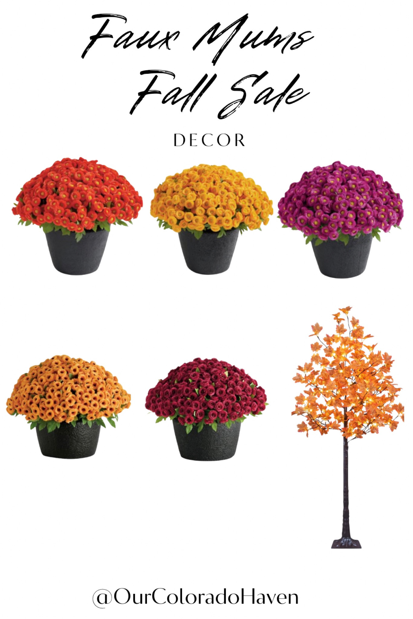 Fall decor. Fall front porch. Mums. Grandin road. 

#LTKHome #LTKFallSale #LTKSeasonal