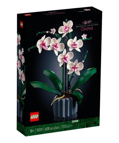 LEGO® LEGO® Icons 10311 Orchid | Best Price and Reviews | Zulily | Zulily