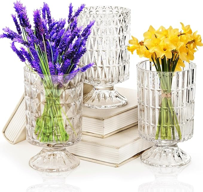 Goaste 3 Pack Embossed Big Base Vase, 7" Crystal Glass Vase, Hydroponic Green Plant Vases, Transp... | Amazon (US)