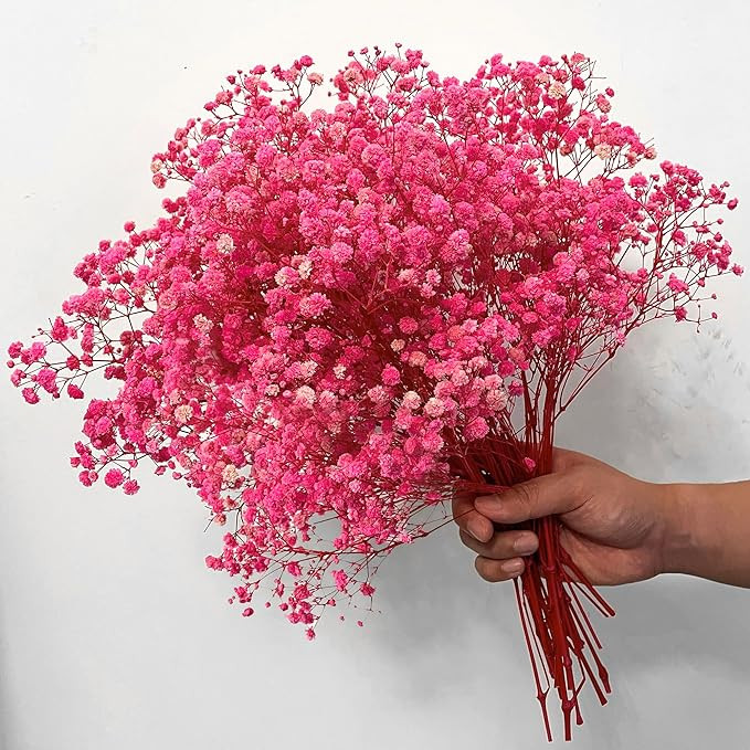 Dried-Babys-Breath-Flowers-Bouquet, 17.2In 2500+ Pink Flower, Natural Gypsophila Branches for Wed... | Amazon (US)