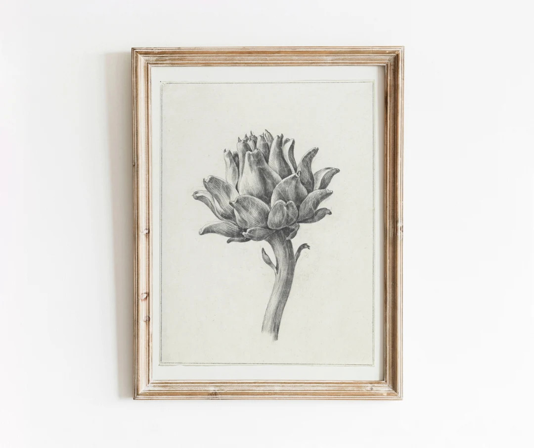 Artichoke Illustration Vintage Botanical Vegetable Drawing Black and White Pencil Sketch DIGITAL ... | Etsy (US)