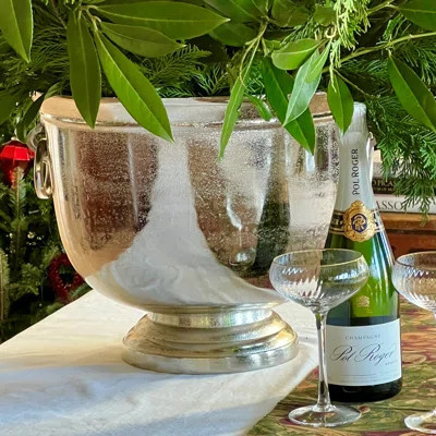 Djanira Luxury Champagne Bucket | Wayfair North America
