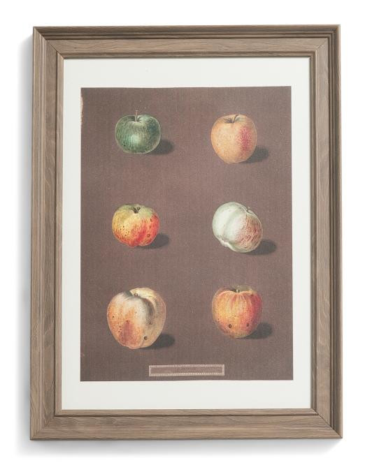 12x16 Fall Fruits Wall Art | TJ Maxx
