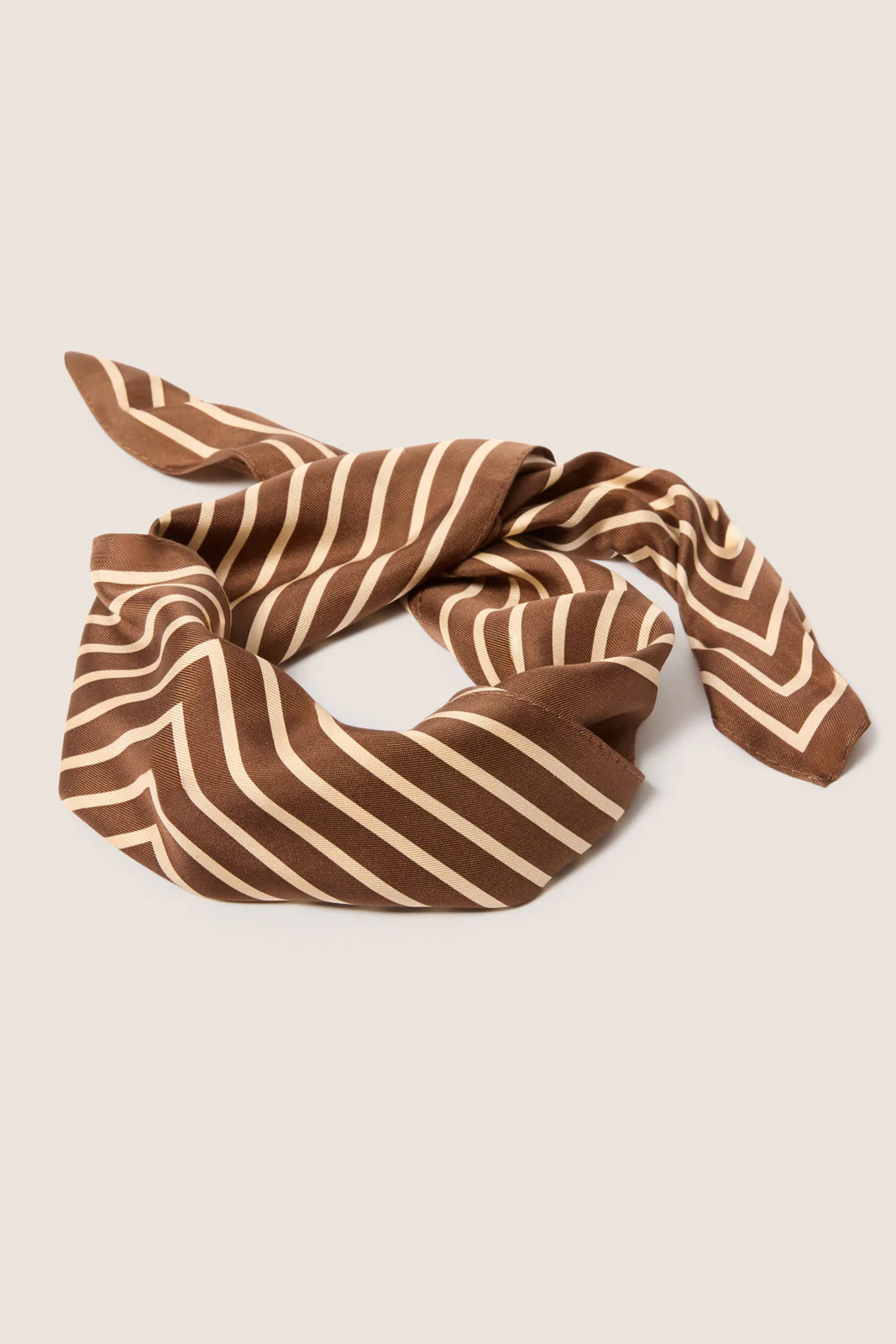 Classic Silk Scarf | Evereve