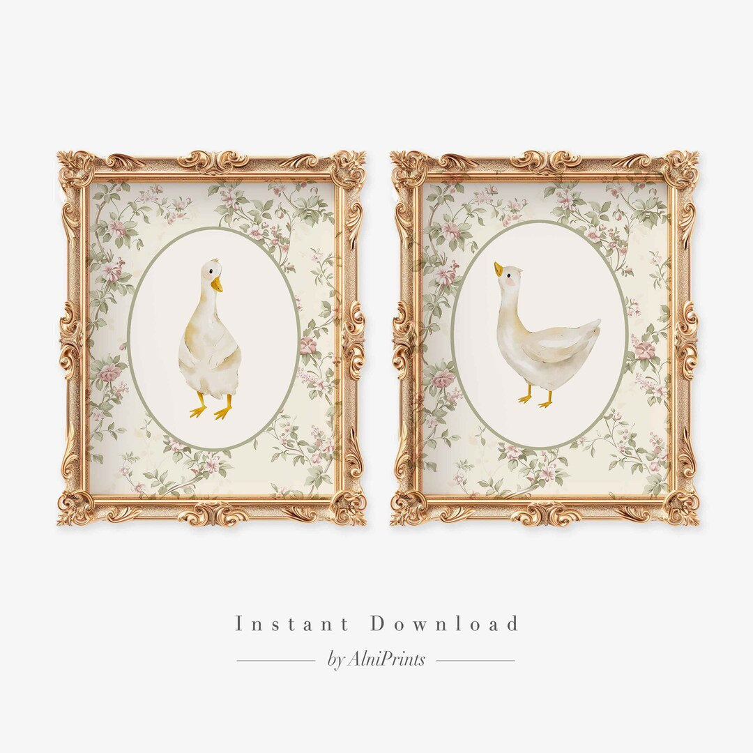 Goose Nursery Wall Art, Goose Gallery Wall Art, Baby Girl Nursery Ideas, Set of 2, Vintage Nurser... | Etsy (US)