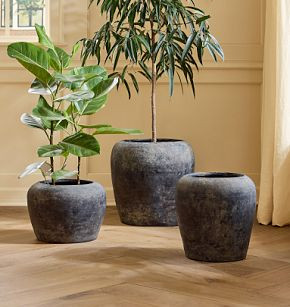 Lyre Terracotta Planters | Rejuvenation