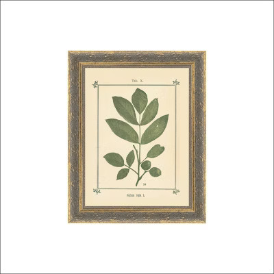 Petal Lane 8"x10" Plant Atlas Patina Framed Wall Art Gold | Target