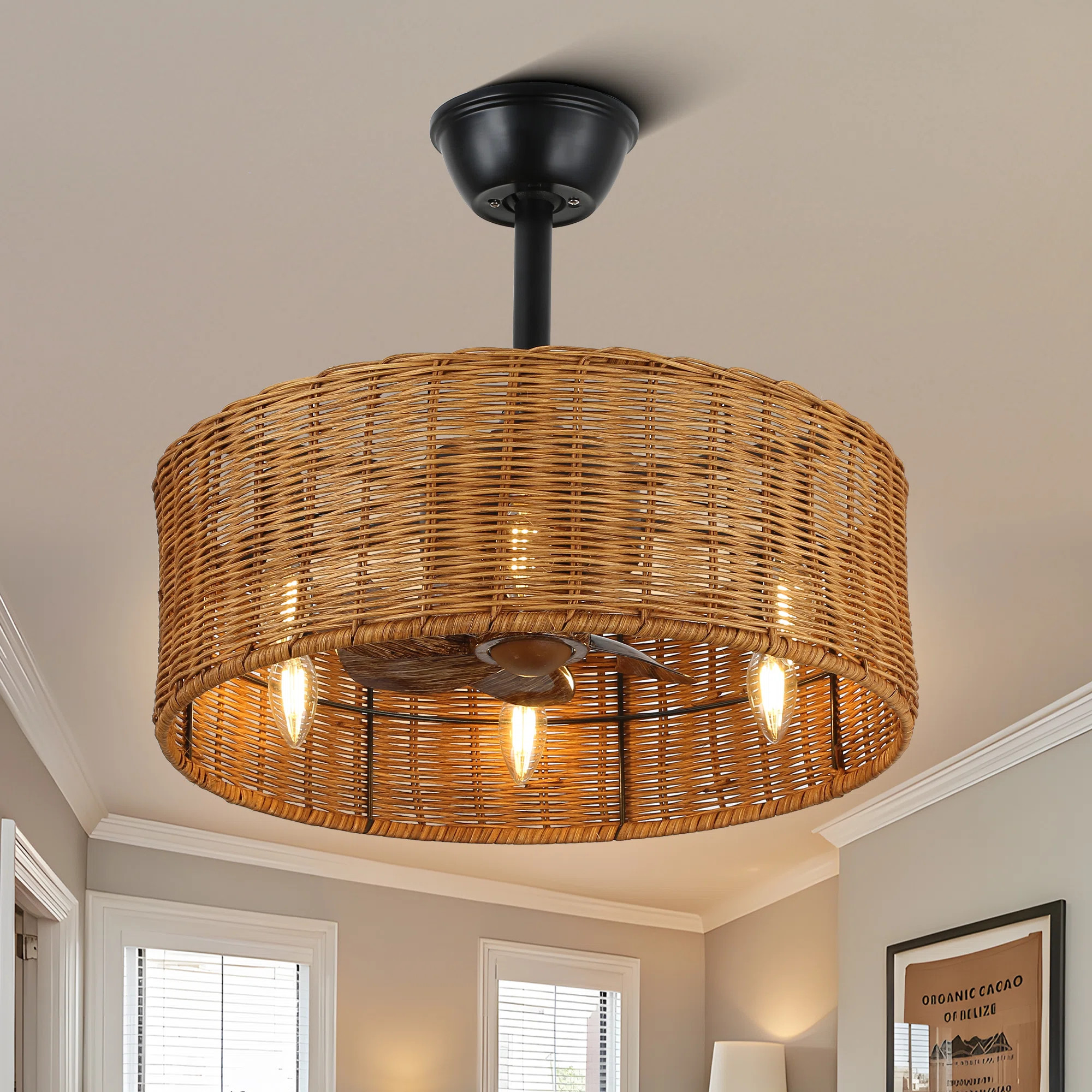 18" Boho Rattan Caged Ceiling Fan with Lights and Remote Control, Quiet DC Motor, 6-Speed and Tim... | Wayfair North America