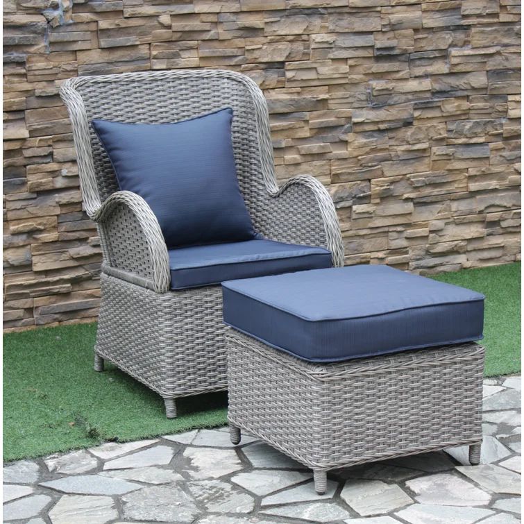 Rametta Patio Chair with Cushions | Wayfair North America