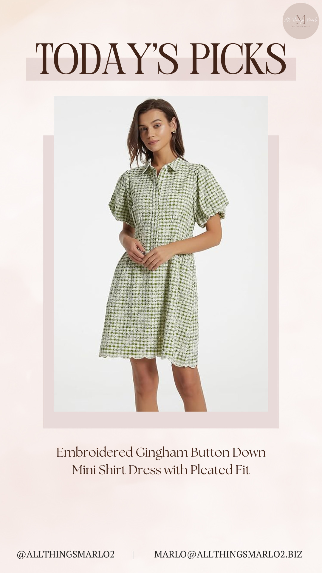 Embroidered Gingham Button Down Mini Shirt Dress with Pleated Fit 

 #LTKSeasonal #LTKWorkwear #LTKTravel
