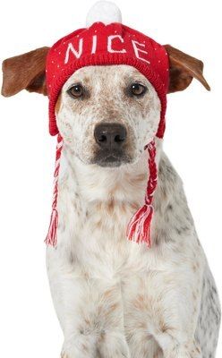 Frisco Naughty/Nice Dog & Cat Knitted Hat, X-Large/XX-Large | Chewy.com