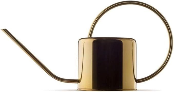 Homier Vintage Metal Watering Pot with Long Spout for Indoor House Desk Plant 30oz (Gold) | Amazon (US)