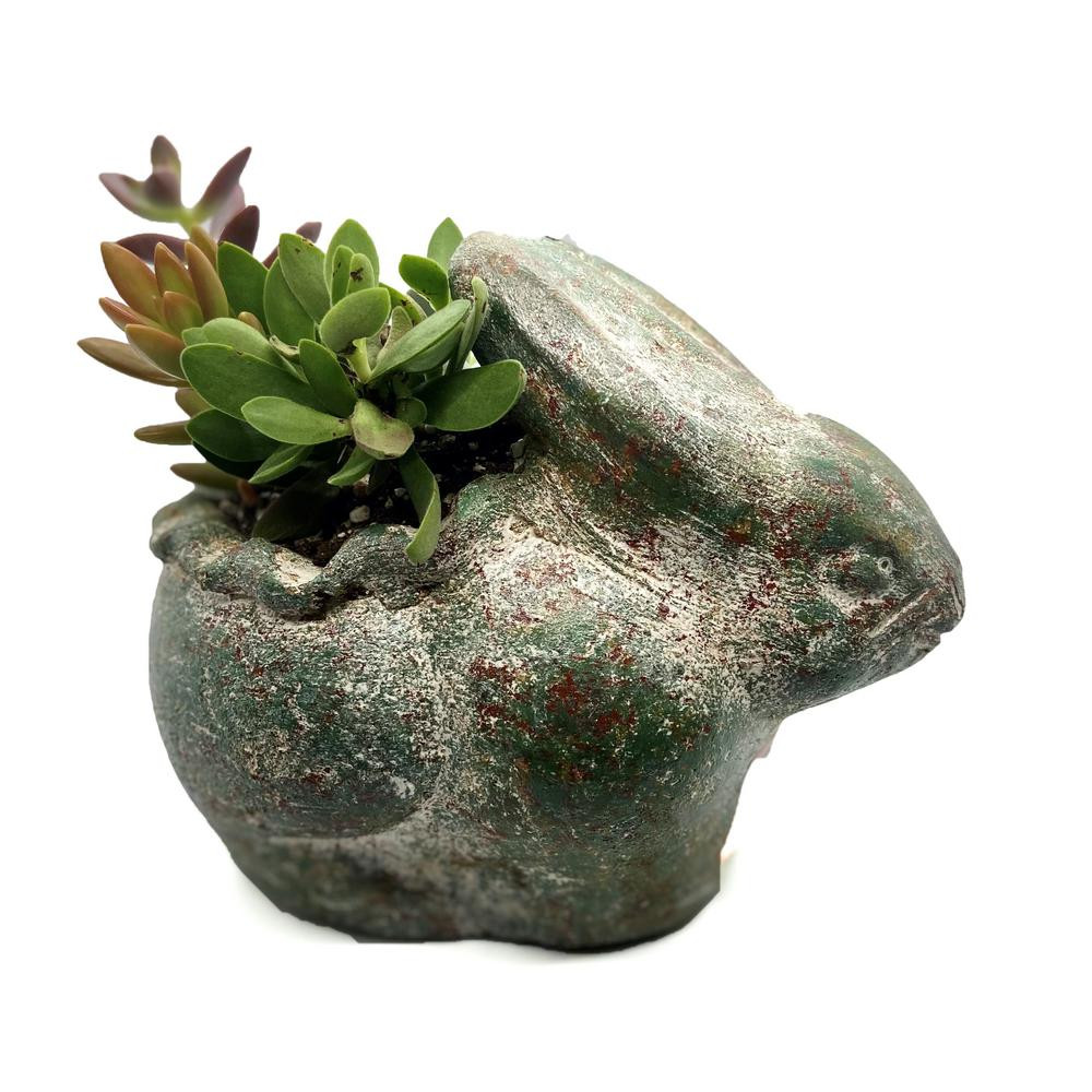 6 in. Succulent Rabbit Planter | The Home Depot