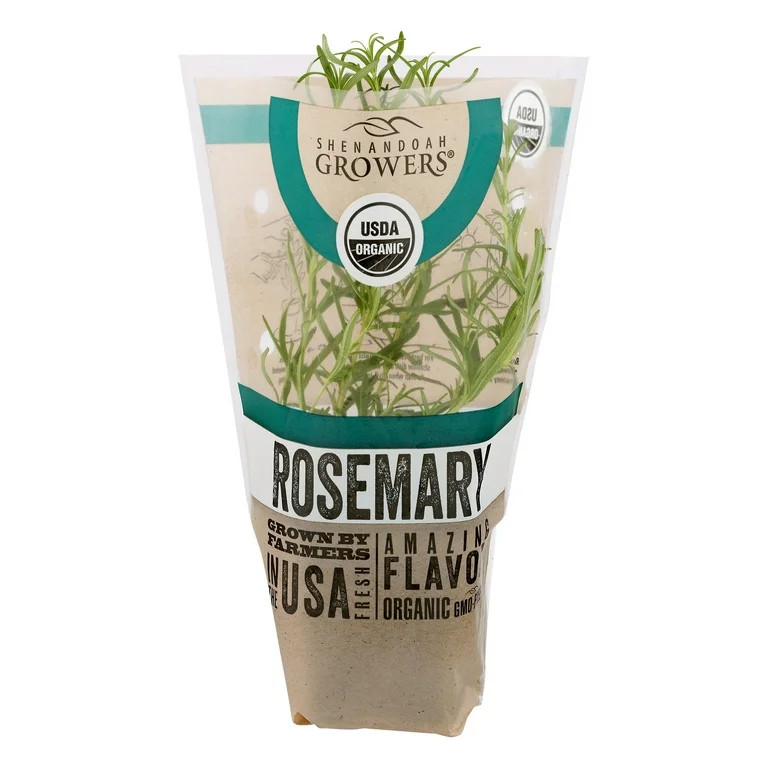 Organic Potted Rosemary Green Live Plant, 1 Each | Walmart (US)