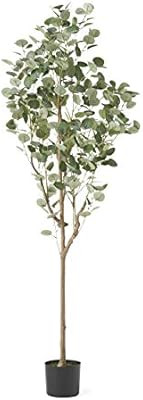Christopher Knight Home Rebecca Artificial Eucalyptus Tree, 6' x 2.5', Green + Black | Amazon (US)