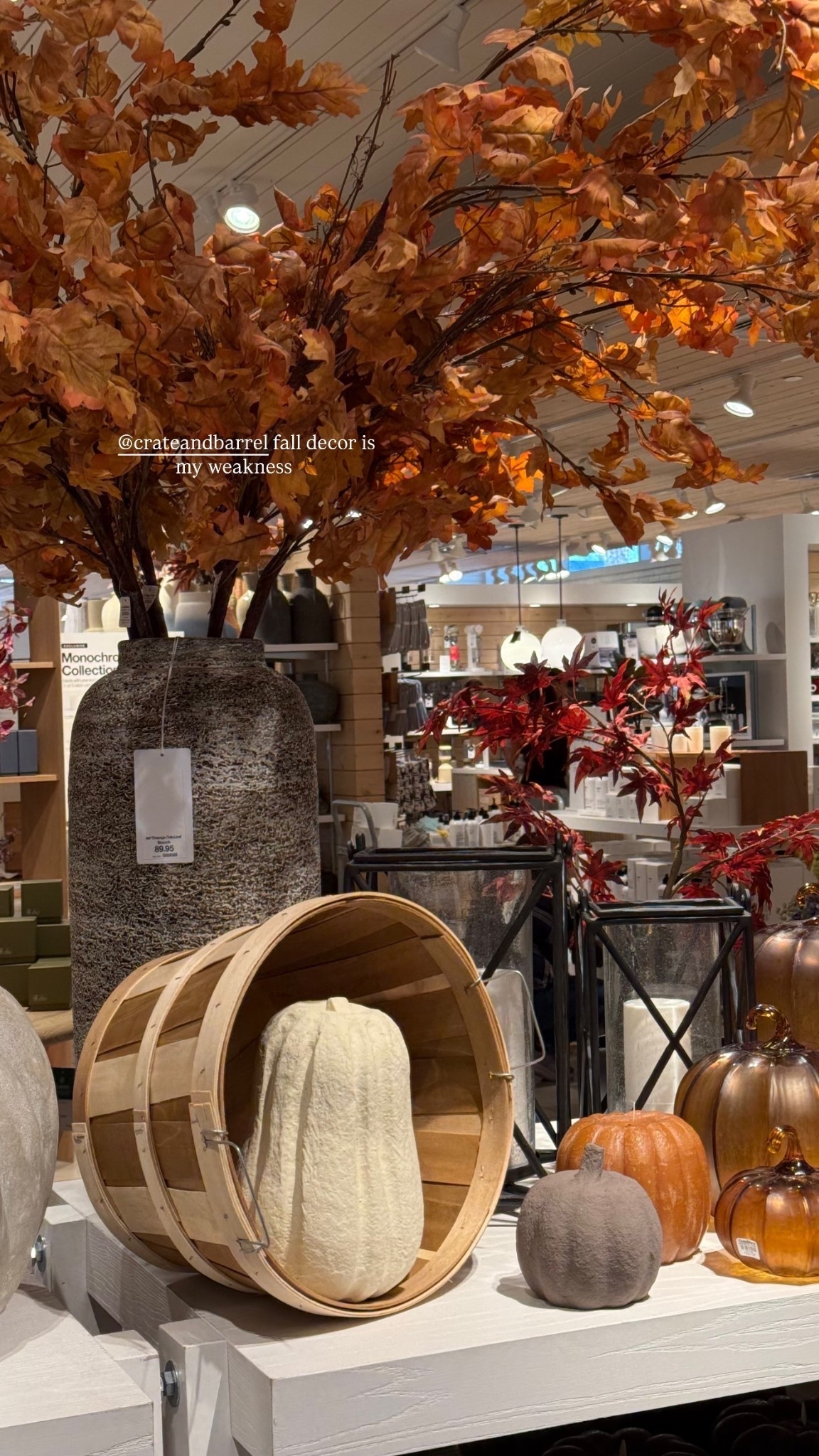 @crateandbarrel fall decor is my weakness 🍂