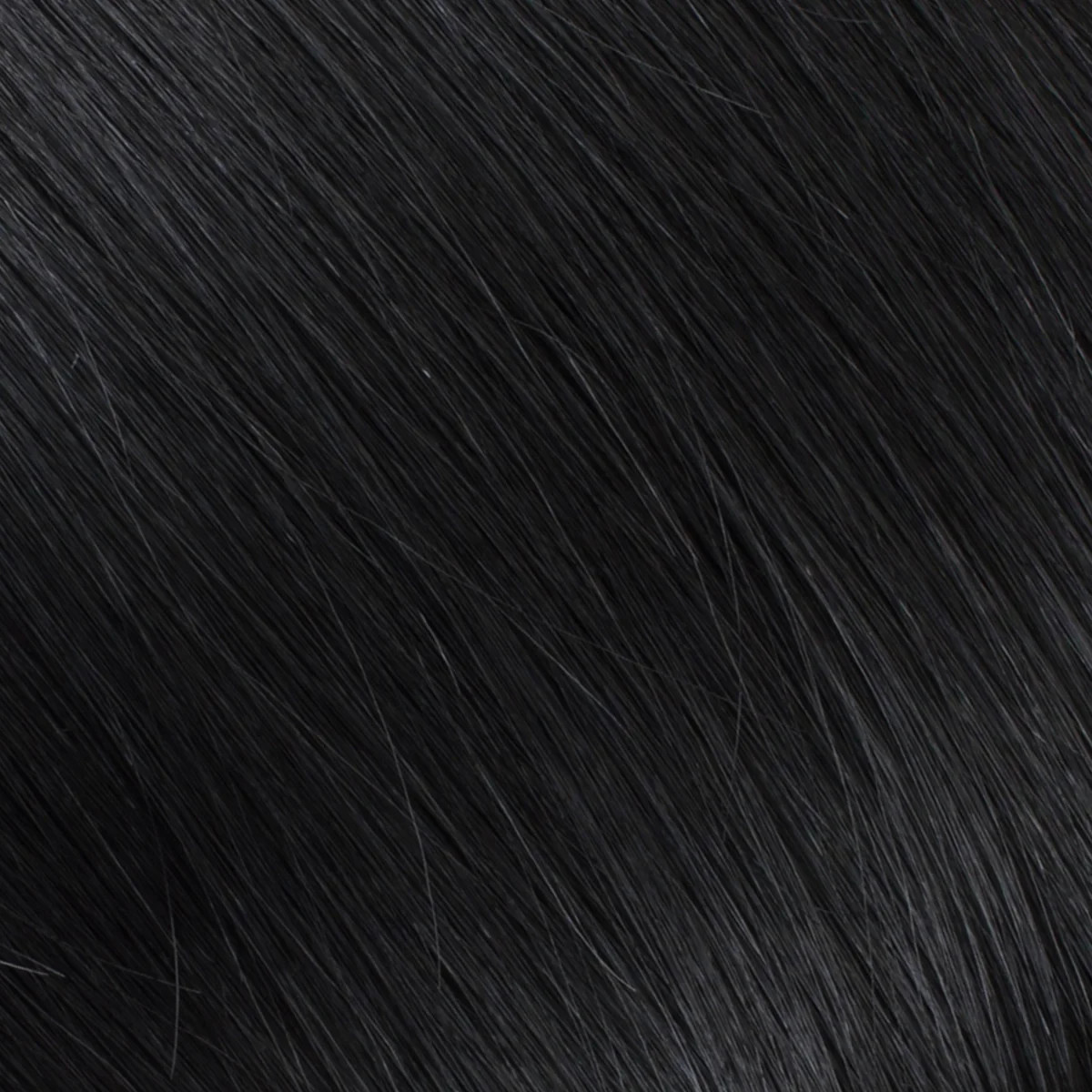 Silk Seam Clip-In, Jet Black| Bellami Hair | Bellami Hair