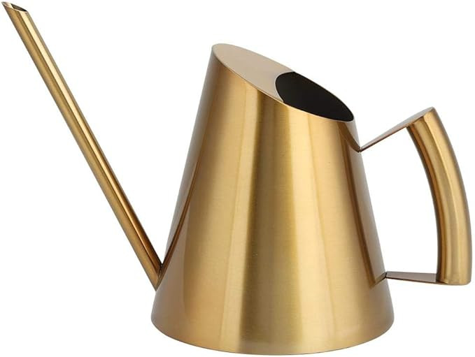 Stainless Steel Watering Can with Long Spout Steel Plant Waterer Watering Pot Sprinkle Pot Garden... | Amazon (US)