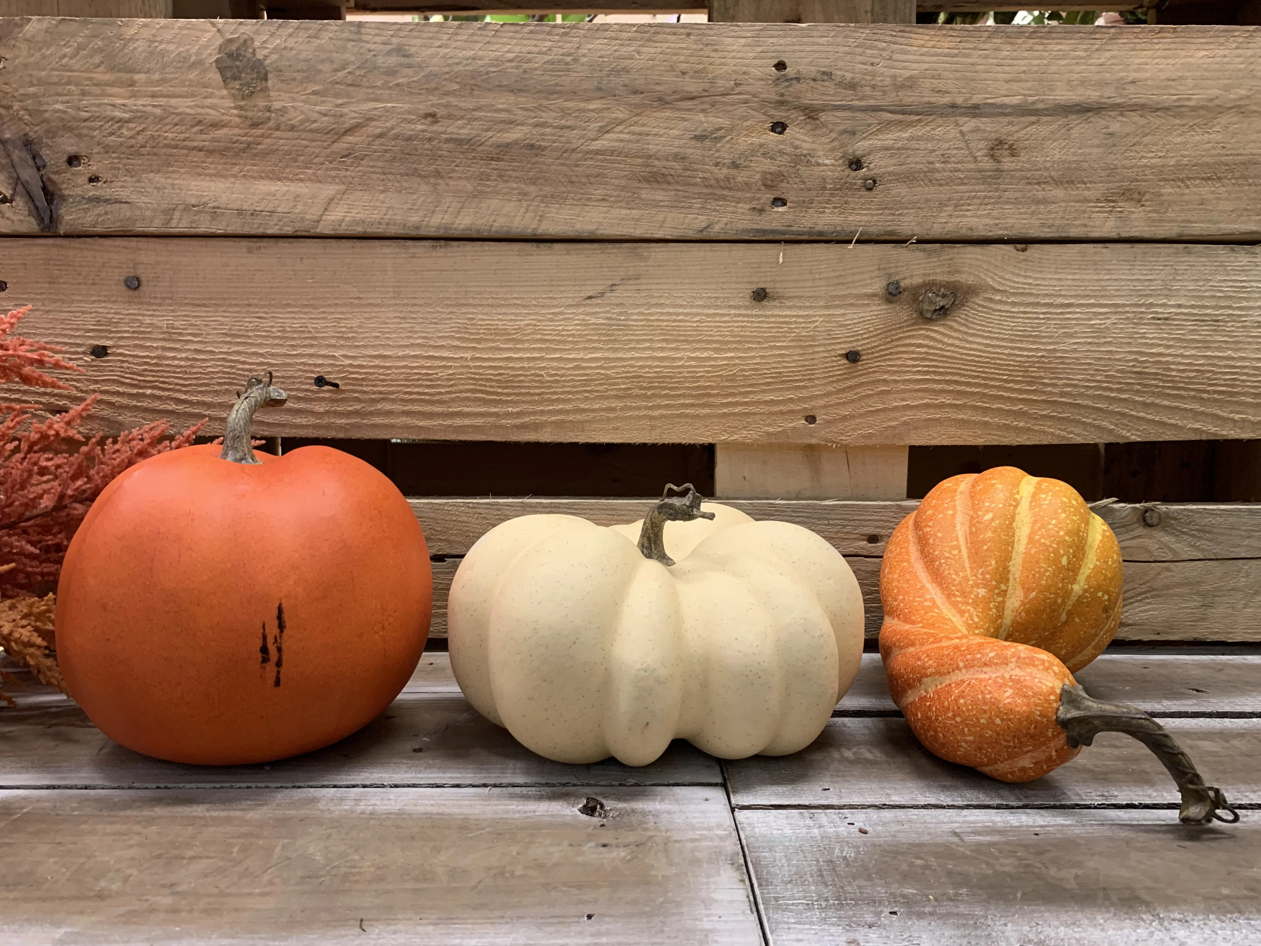 Way to Celebrate Thanksgiving Multicolor Heirloom Pumpkins Decoration, Set of 3 | Walmart (US)