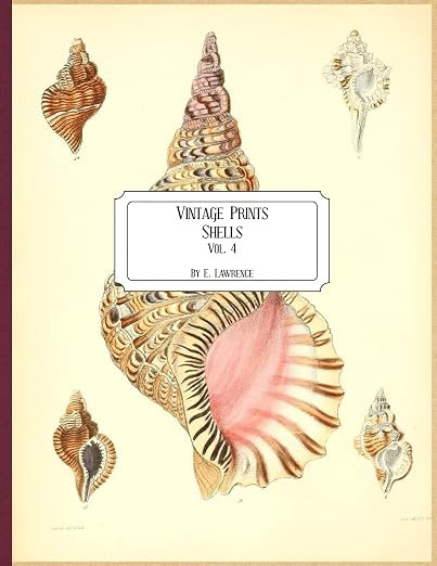 Vintage Prints: Shells: Vol. 4 | Amazon (US)
