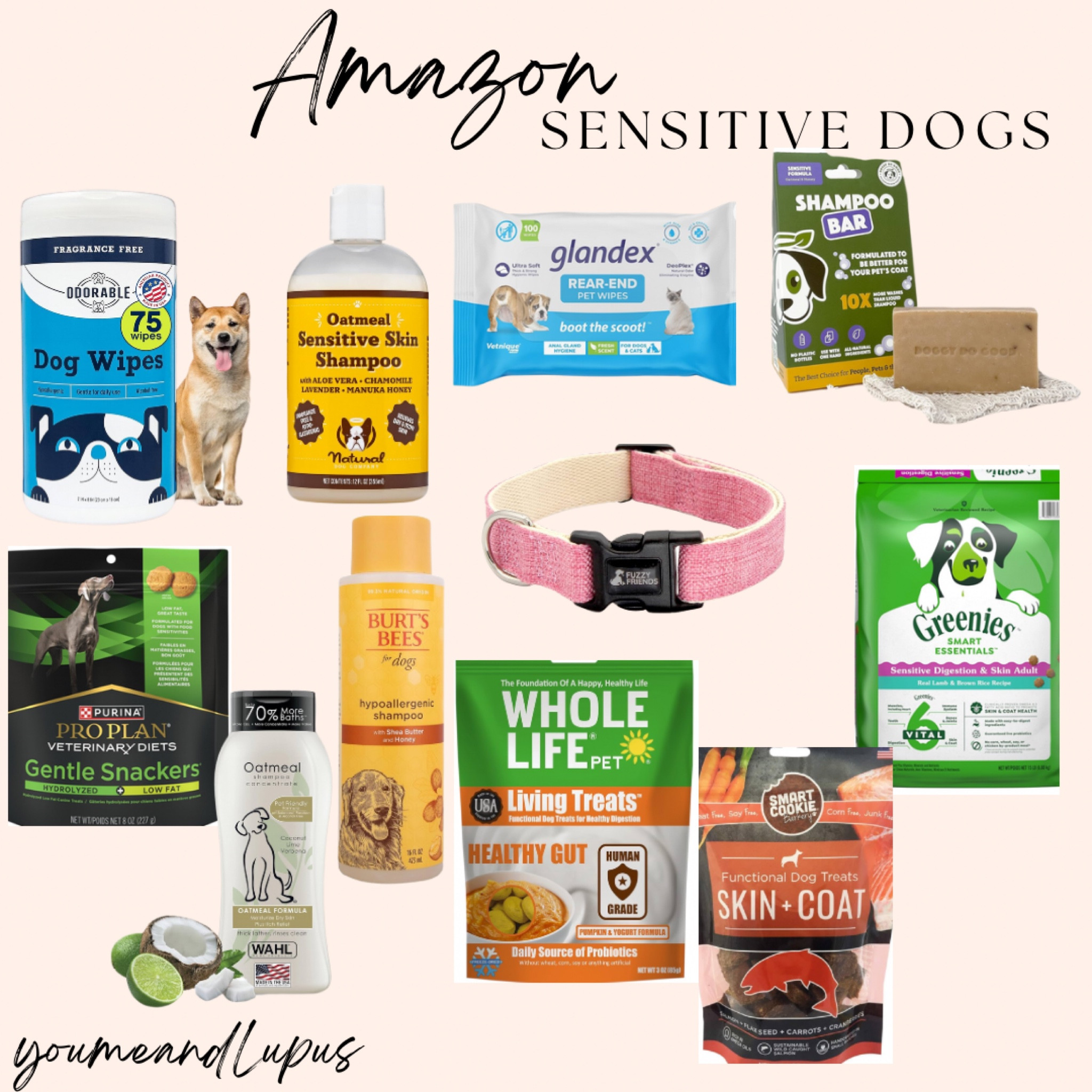 Amazon sensitive dog items, sensitive shampoo and conditioner, dog treats, training treats, dog collars, doggie wipes dog food, hypoallergenic dog food, puppy soap, sensitive skin for dogs, clean ingredients, Amazon finds 

#LTKHome #LTKFamily #LTKFindsUnder100