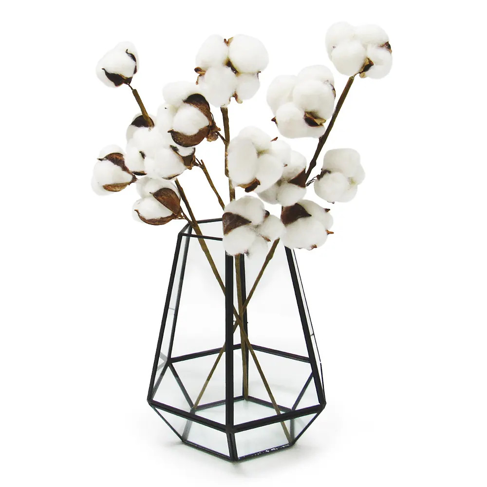 Set of 3 Cotton Stem Branch 16in - 16" L x 4" W x 2" DP (16" L x 4" W x 2" DP - White) | Bed Bath & Beyond