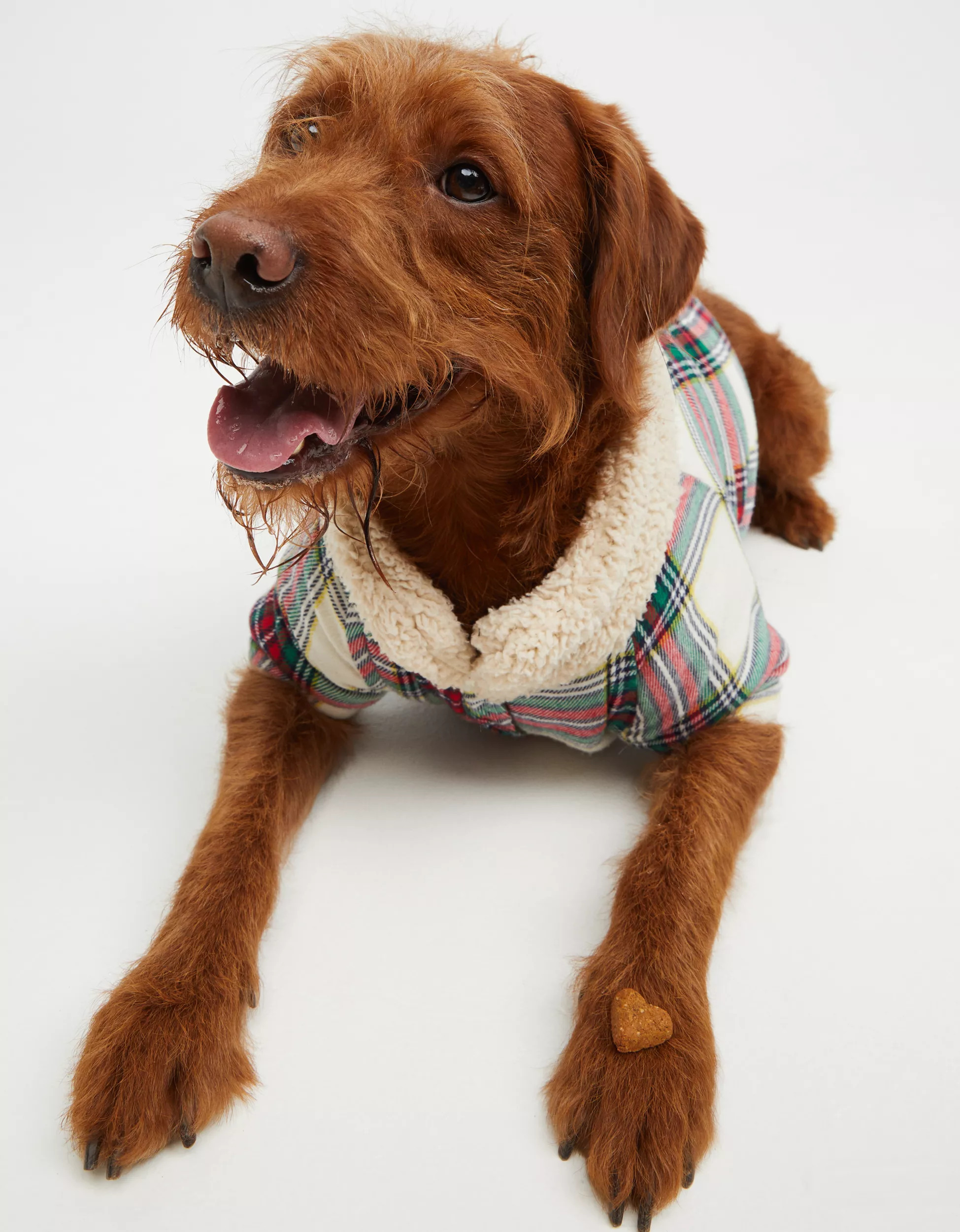 OFFLEASH By Aerie Flannel Dog Shirt | American Eagle Outfitters (US & CA)