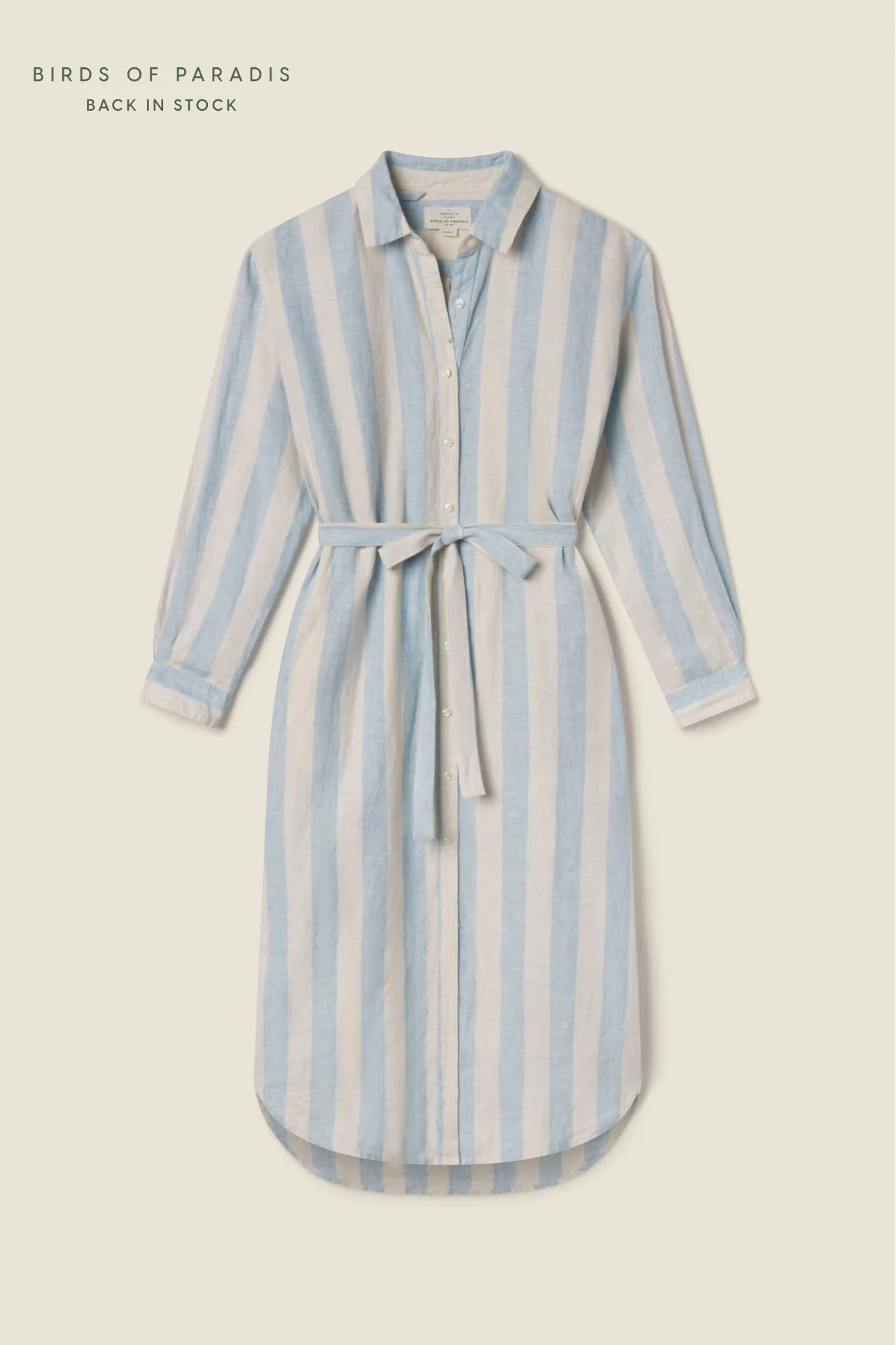 Catalina Shirtdress Seaside Stripe | TROVATA