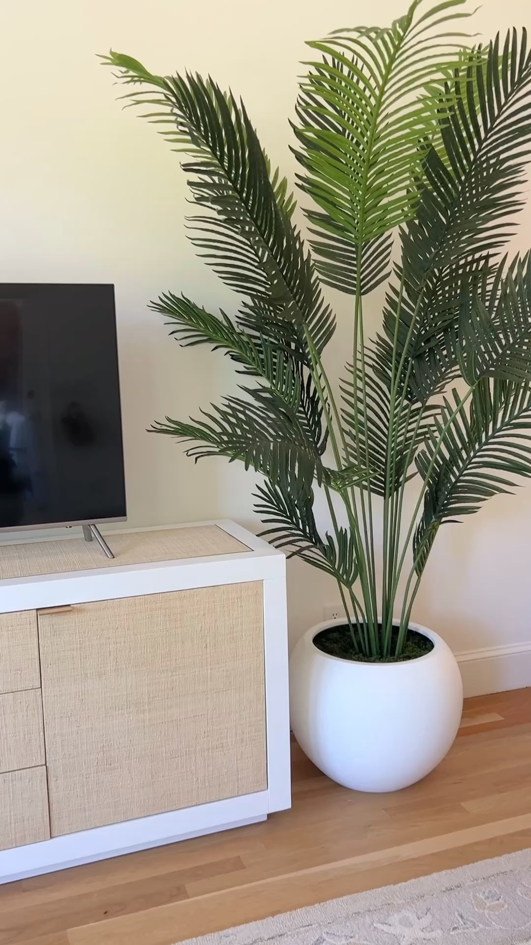 Have a bare spot in your living room or bedroom? This large sphere planter and faux potted palm tree from @Wayfair are the perfect stylish pair! After placing the potted palm inside, I covered it with faux green moss (which totally disguises that the palm is faux) and it looks soooo realistic! 🙌🏻 #wayfair #wayfairpartner

#LTKHome #LTKStyleTip #LTKVideo