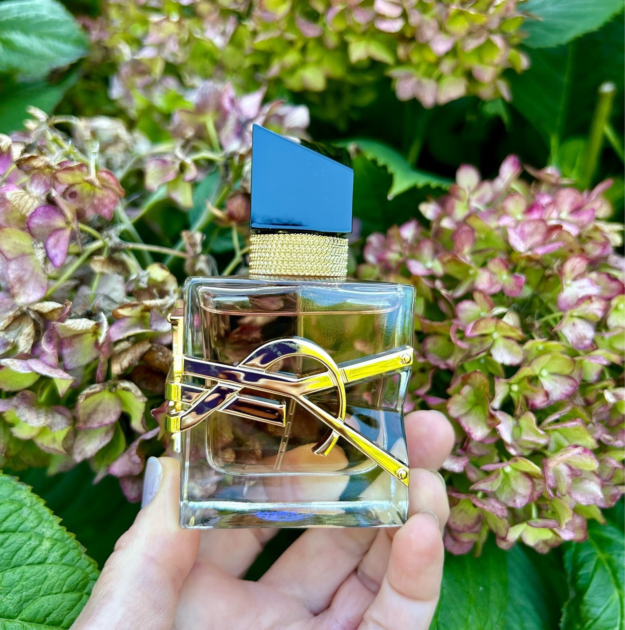 Ready to be sun-kissed? Libre Flowers & Flames by YSL Beauty is the fragrance you want. This lovely warm, sun kissed floral fragrance is a bold choice perfect for the end of summer and heading into fall. Top notes of creamy cocoa palm tree flower melted with a spicy and solar lily flower. A truly exquisite combination that also has notes of blazing bold floral blended with a beautiful base of rich vanilla. The notes combined leave you with a sensuous warmth and the fragrance is truly long lasting. I love how it blooms as I wear it throughout the day.  This is a must have that will truly be iconic from YSL. 

#YSLBEAUTY  #GIFTEDBYYSLBEAUTY @yslbeauty

#LTKWedding #LTKFindsUnder100 #LTKBeauty