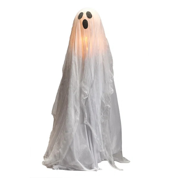 Glowing Ghost Lighted Display | Wayfair North America