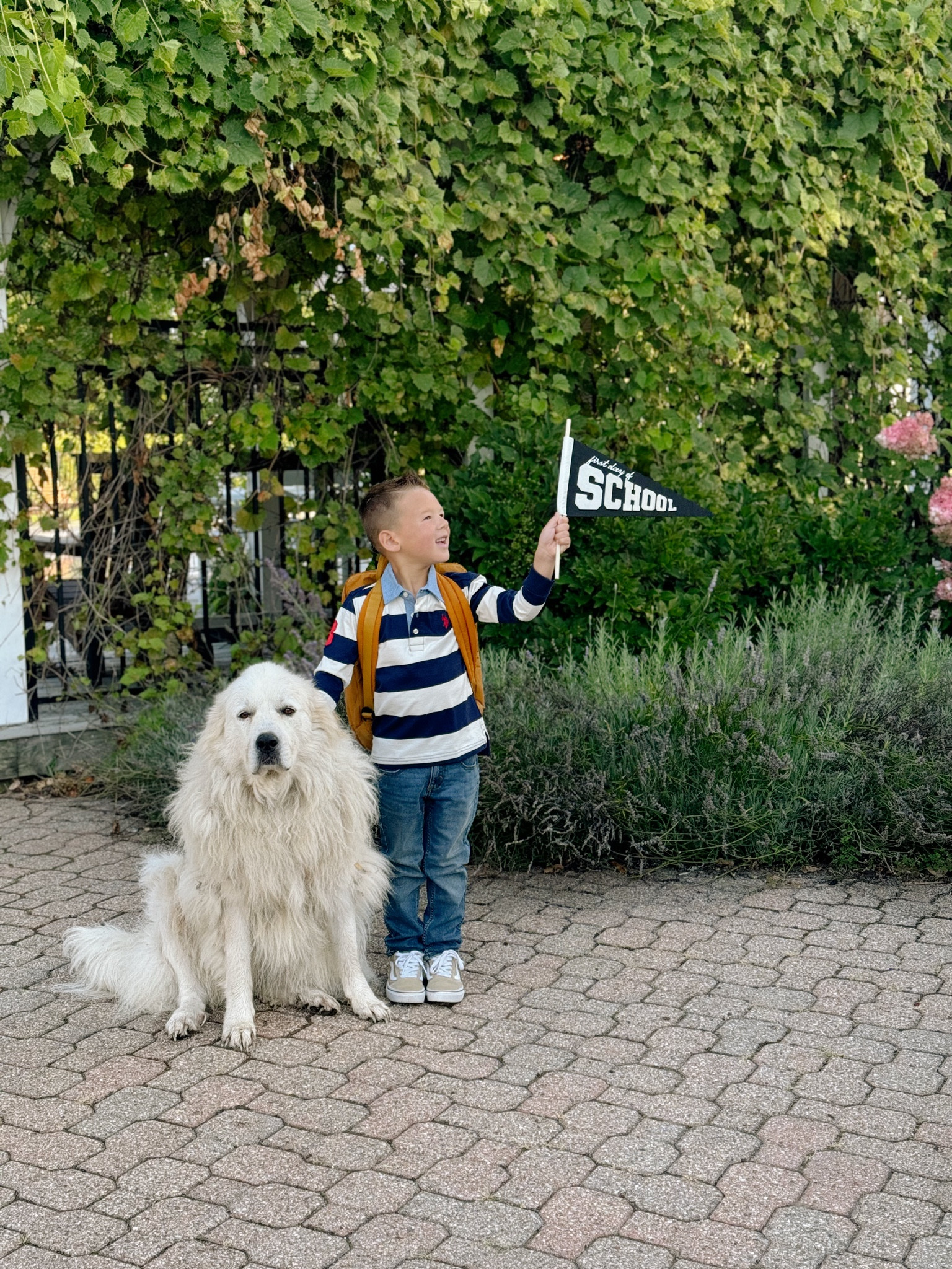 @walmart polos has Copey looking good on his first week of school. 

#walmartfashion #walmartpartner #ad 