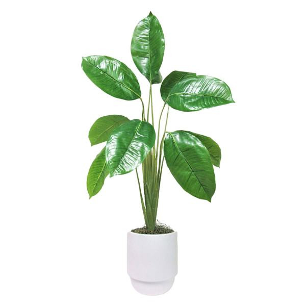 Split-Leaf Plant in Layered Ceramic Pot, 36" | At Home