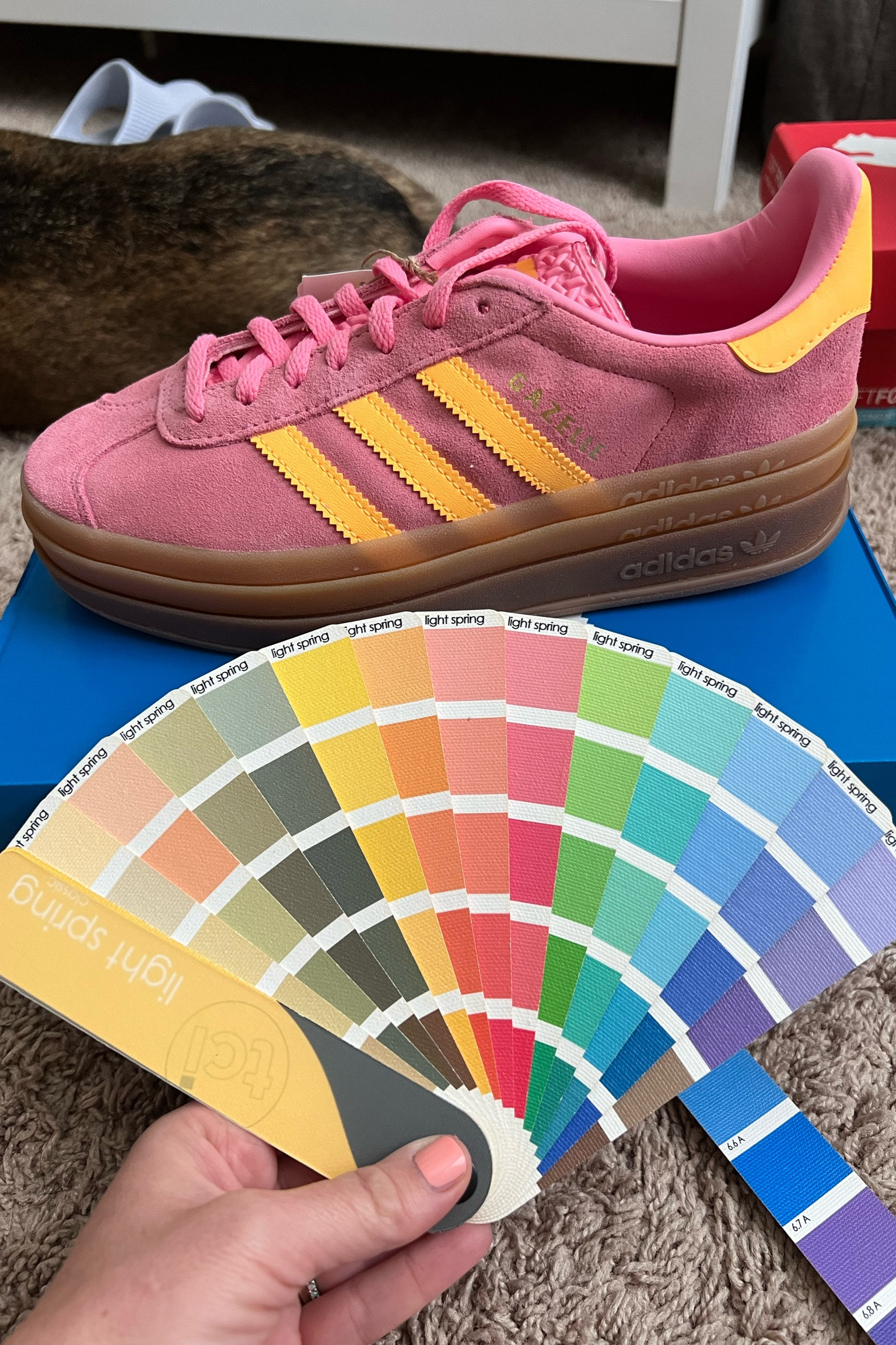 Spring Adidas Gazelle Bold. This pink goes with both the Light Spring & Bright/Clear Spring. But overall the shoe harmonizes best with Light Spring. Size down as Adidas run big. 

#createdcolorful #createdcolorfulspring #hocspring #tcispring #pcaspring #lightspring #warmspring #truespring #brightspring #clearspring #paintboxspring #bluespring

#LTKStyleTip #LTKShoeCrush #LTKActive