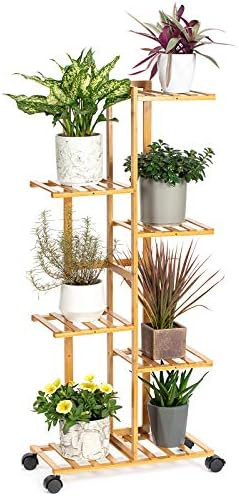 Bamboo Plant Rack | Amazon (US)