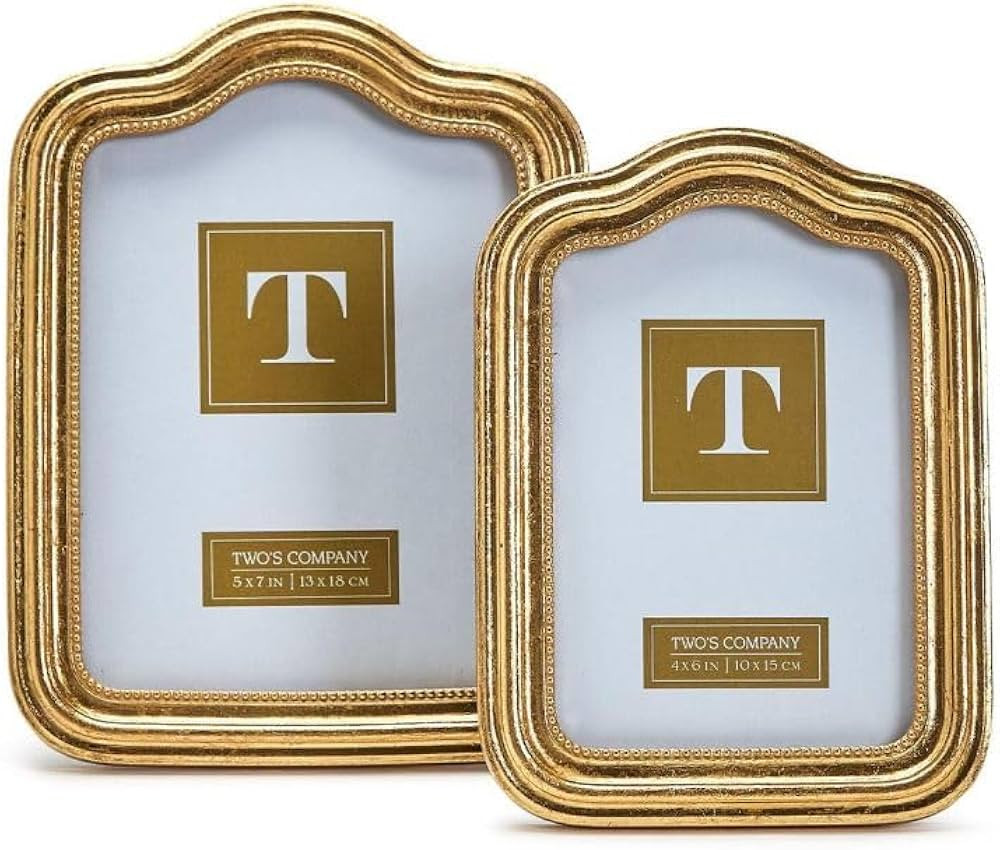 Two's Company Arcade Gold Set of 2 Photo Frame Includes 2 Sizes | Amazon (US)