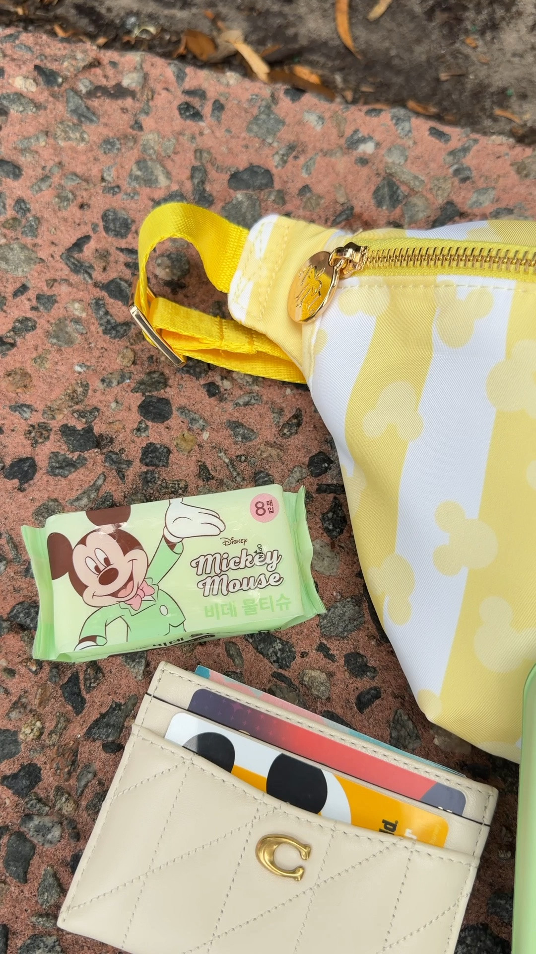 Butter Yellow Disney Bag!
