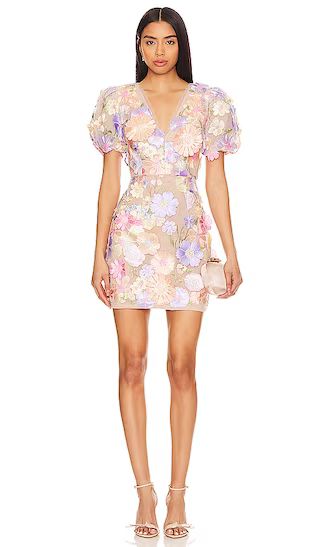 Anthea Dress in Multi | Revolve Clothing (Global)